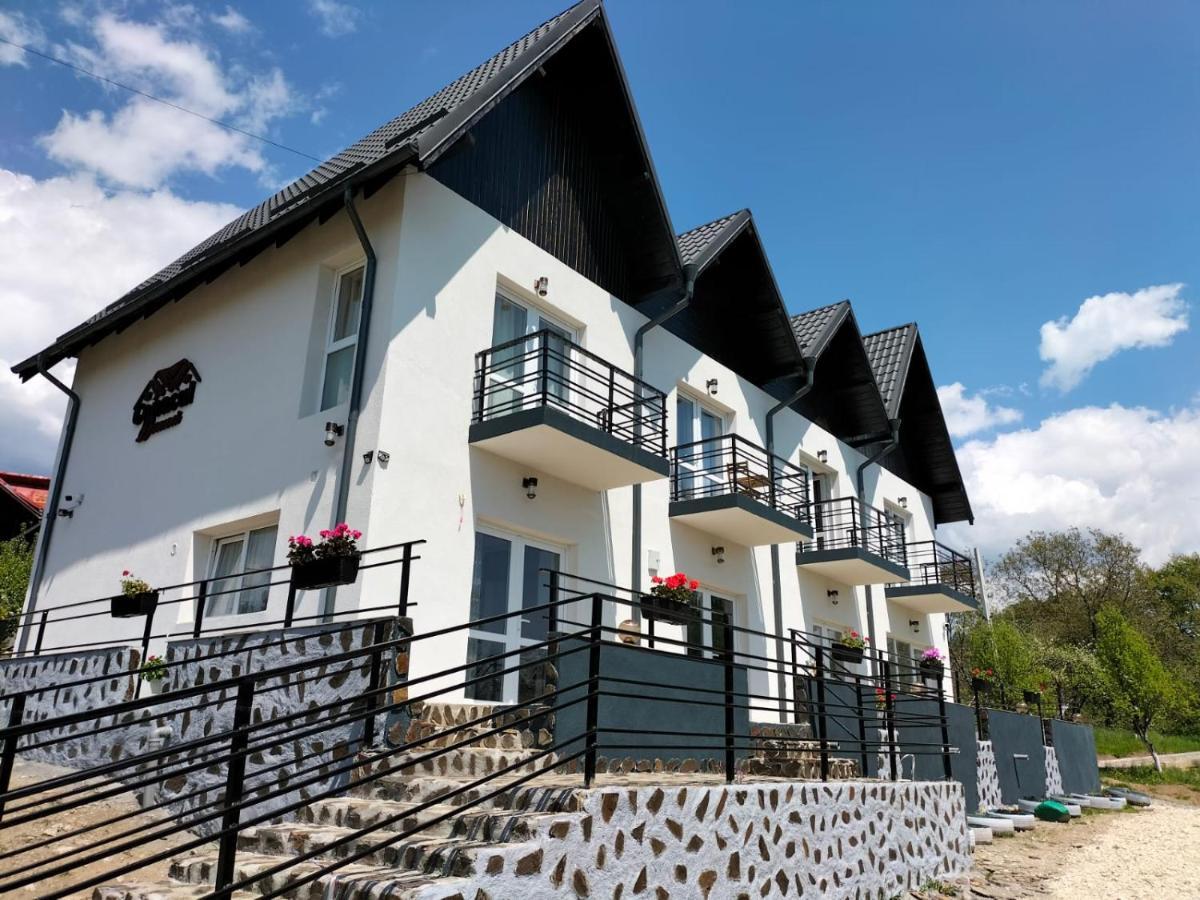 Conacul Doamnei Nucsoara Hotel Екстериор снимка