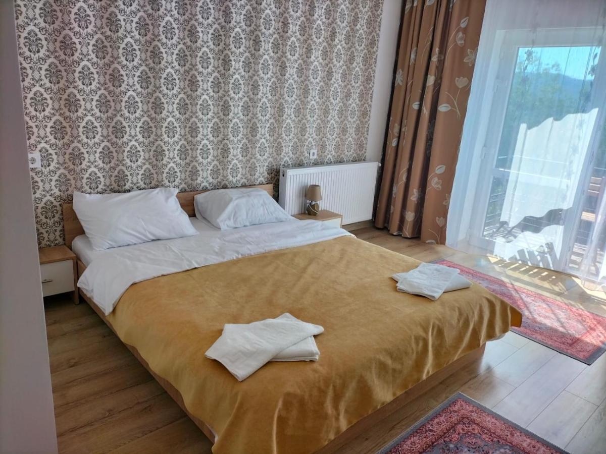 Conacul Doamnei Nucsoara Hotel Екстериор снимка